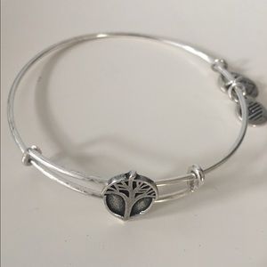 Alex and Ani Acorn Charm
